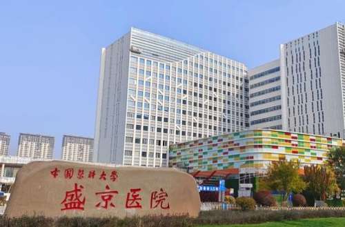 盛京医院医疗整形美容科假体隆鼻收费贵不贵？哪位医生实操多？附案例图